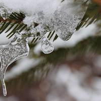 Левам - гармонія, Скорпіонам - емоційна глибина: Гороскоп на 21 січня