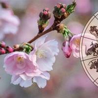 Терезам - цікавий вечір, Близнюкам - несподіванка: Гороскоп на 1 березня