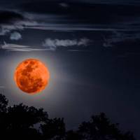 «Кривавий Місяць» і весняне рівнодення: що і коли можна побачити у березні
