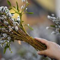 Що потрібно зробити перед Вербною неділею