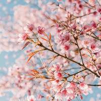 Близнюкам - багато завдань, Дівам - продуктивний день: Гороскоп на 5 квітня