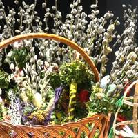 Що треба робити з вербою після Вербної неділі. Священник відповів