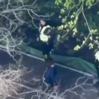 Поліцейські втекли під час стрілянини у Києві: Клименко доручив провести розслідування