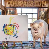 Врятована свиня намалювала картину та заробила господині мільйони