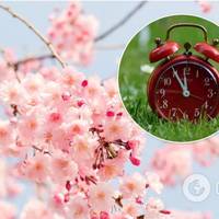 Переведення годинника 2022: коли Україна перейде на літній час