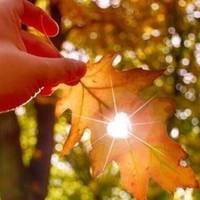 Якої погоди чекати на початку жовтня, та коли вже прийде потепління. Синоптики дали детальний прогноз