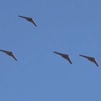 Дрони атакували Львів:у місті пожежа, з-під завалів дістали людину